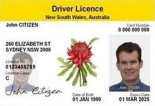Nsw driver licence template