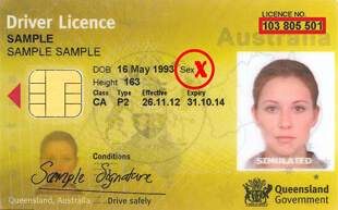 New Zealand Driver License Age